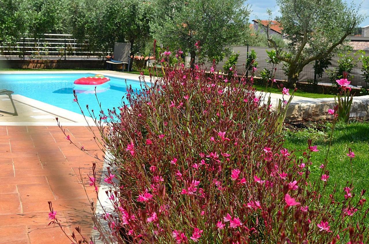 Holiday Home Sverko Novigrad Istria エクステリア 写真
