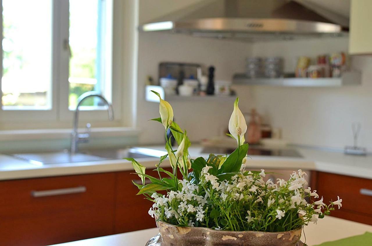 Holiday Home Sverko Novigrad Istria エクステリア 写真